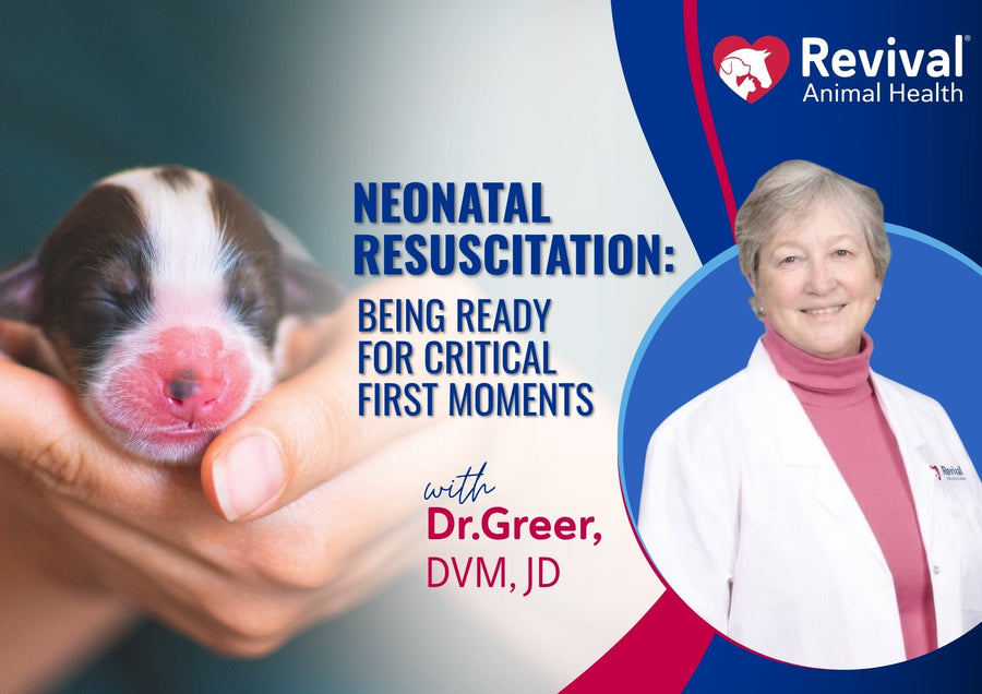 Webinar: Neonatal Resuscitation: Being Ready for Critical First Moments