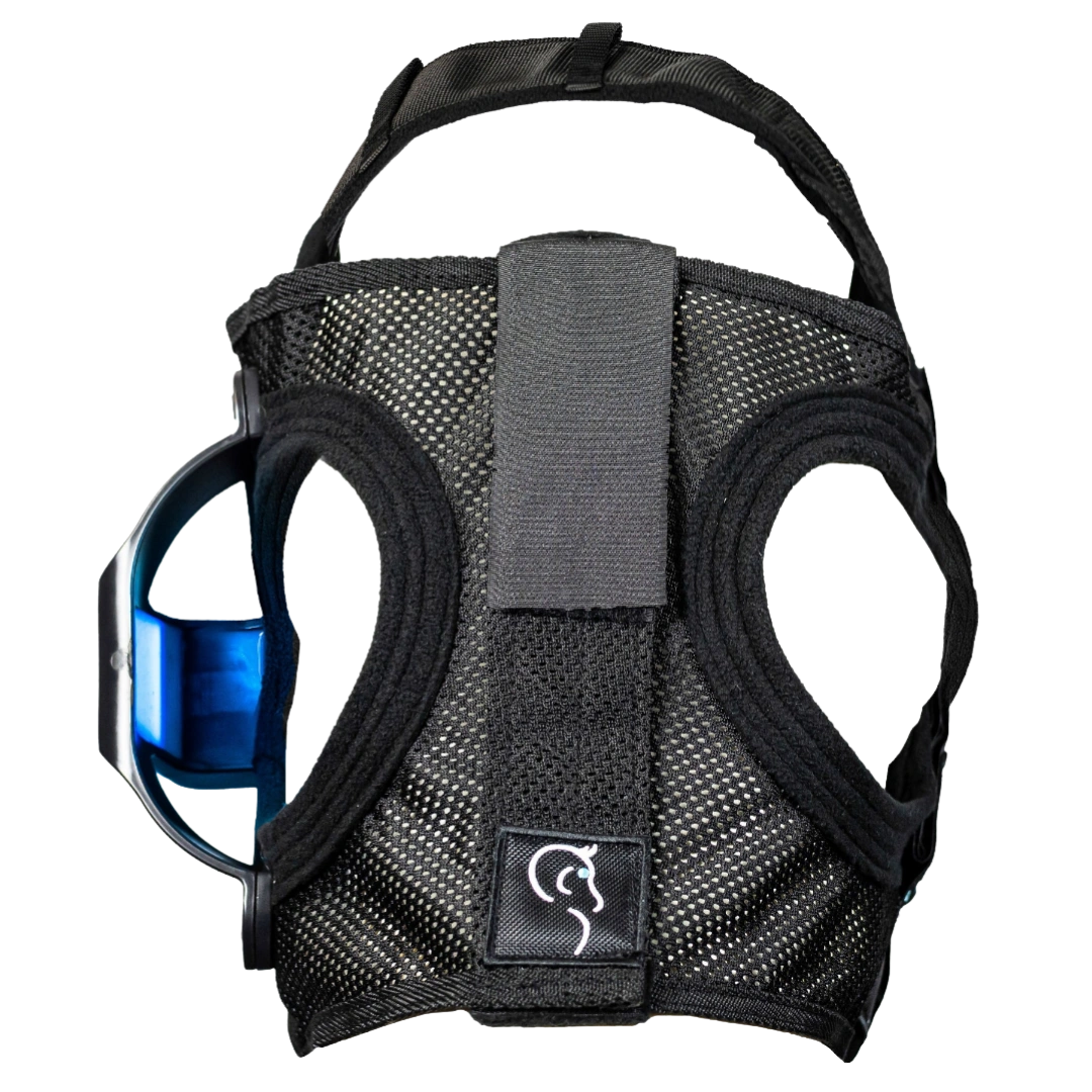 Equilume Light Mask,"Black mesh horse mask with blue side light panel"