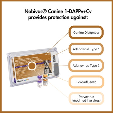 Nobivac® Canine 1-DAPPv+Cv,"Vaccine box with two small vials and protection callout graphic"