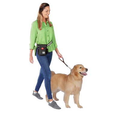 Day/Night Walking Bag,"Woman wearing crossbody bag while walking a dog"