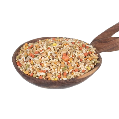Sunburst Parakeet,"Wooden scoop filled with mixed bird seed"