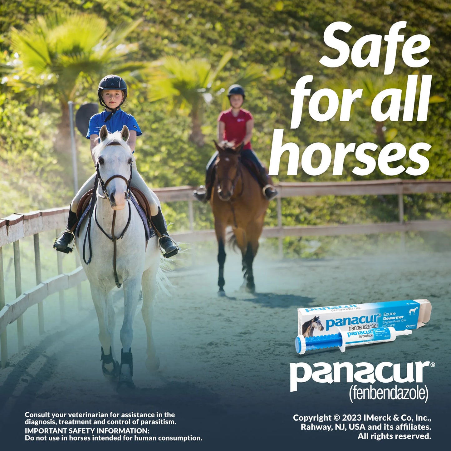 Panacur® Equine Paste Horse Dewormer,"Paste syringe and product box in horse riding scene"