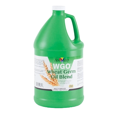 Wheat Germ Oil Blend,"Green gallon jug with handle and front label"