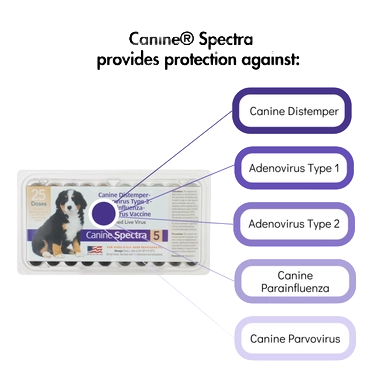 Canine® Spectra 5,"Vaccine tray pack with dog image and disease callouts"