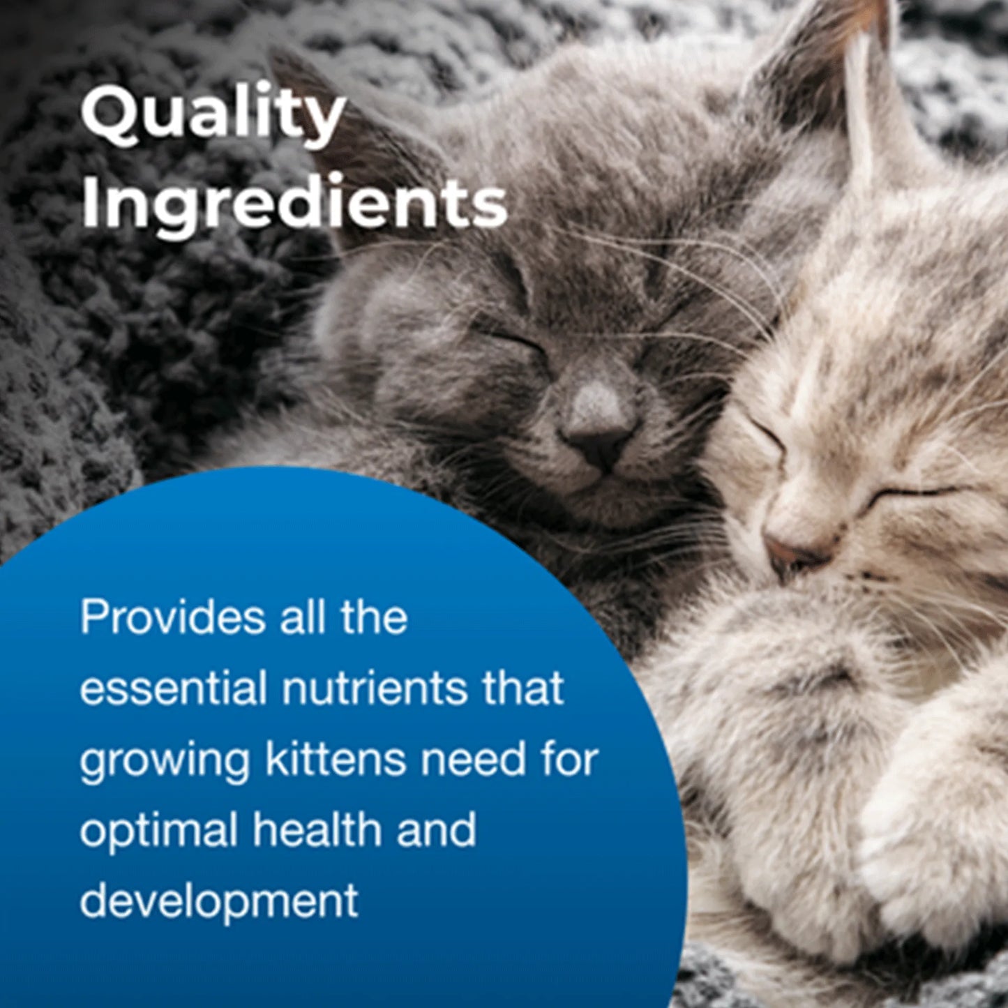 PetAg Goats Milk KMR Liquid Kitten Milk Replacer Ready-to-Feed Formula,"Sleeping kittens close-up with blue informational circle"
