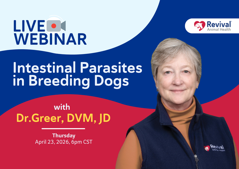 Webinar: Intestinal Parasites in Breeding Dogs