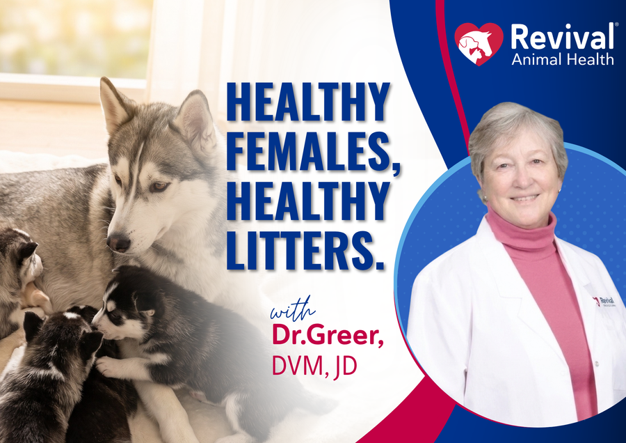 Webinar: Healthy Females, Healthy Litters