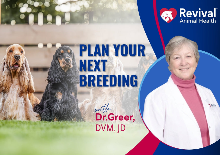 Webinar: Plan Your Next Breeding