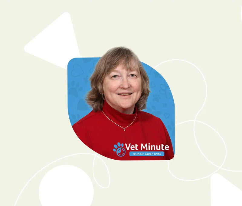 How Often Should A Puppy Drink Water?