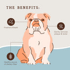 Dental Treats by Natural Dog Company