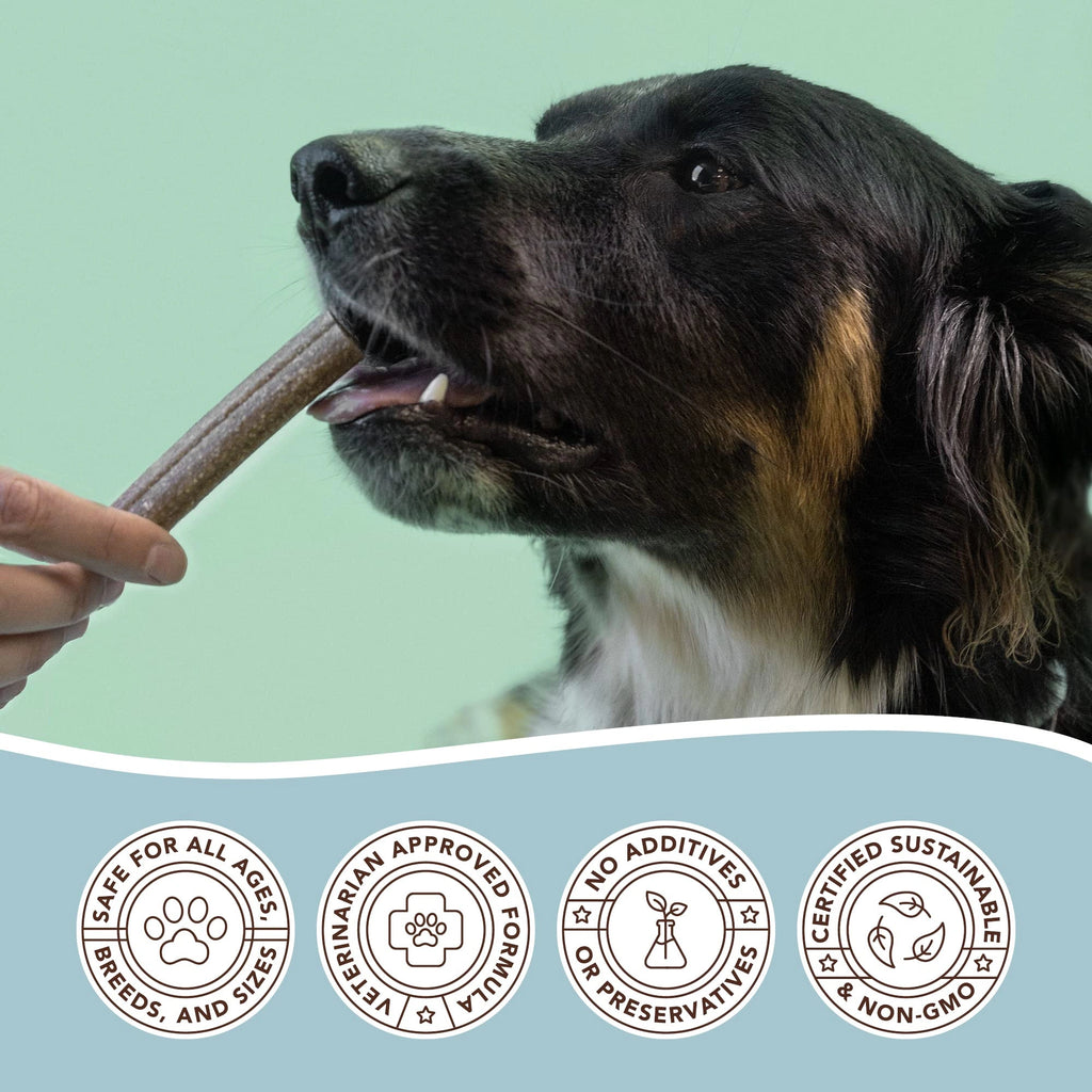 Dental Treats by Natural Dog Company