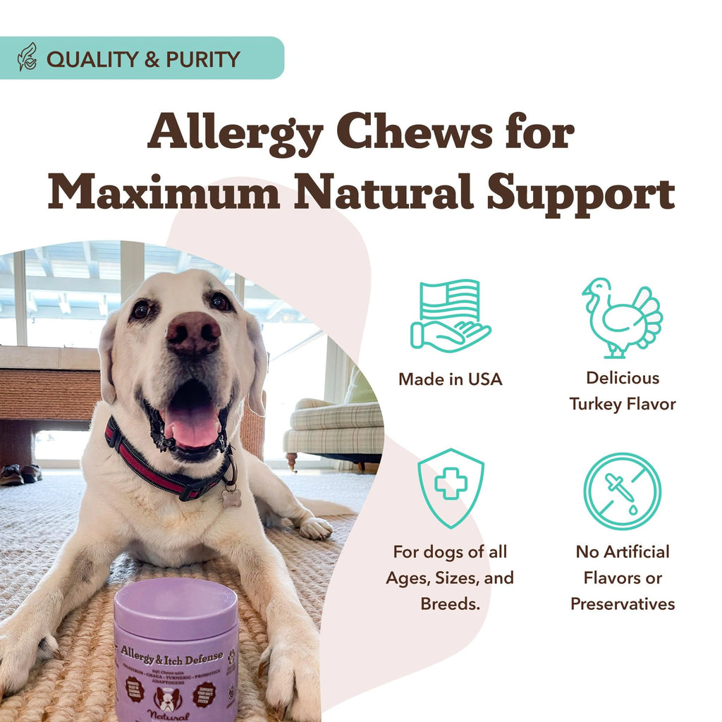 Aller-Immune Supplement by Natural Dog Company