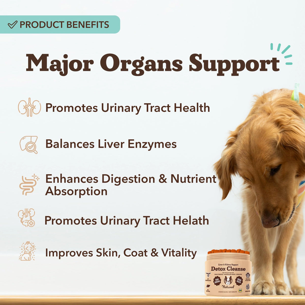 Liver & Kidney Supplement by Natural Dog Company