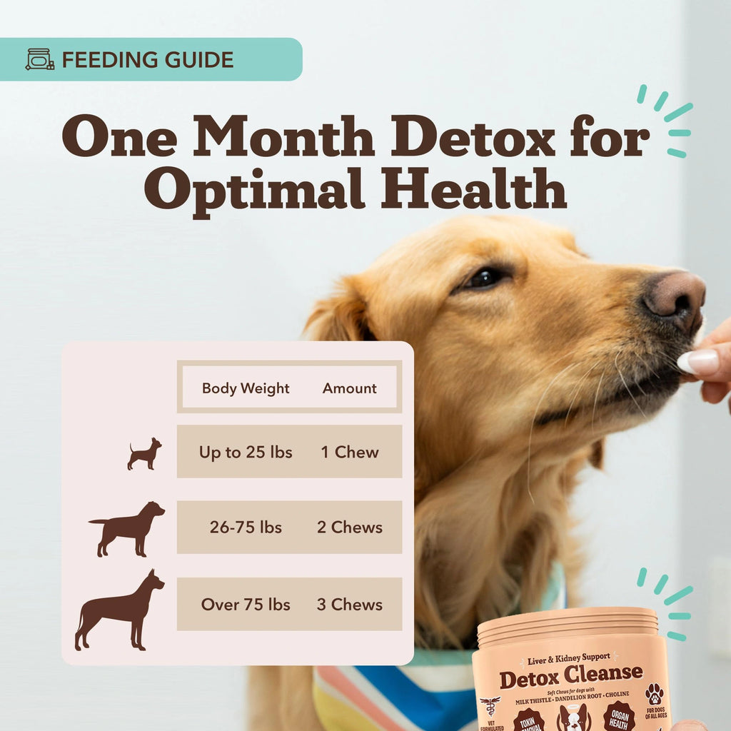 Liver & Kidney Supplement by Natural Dog Company