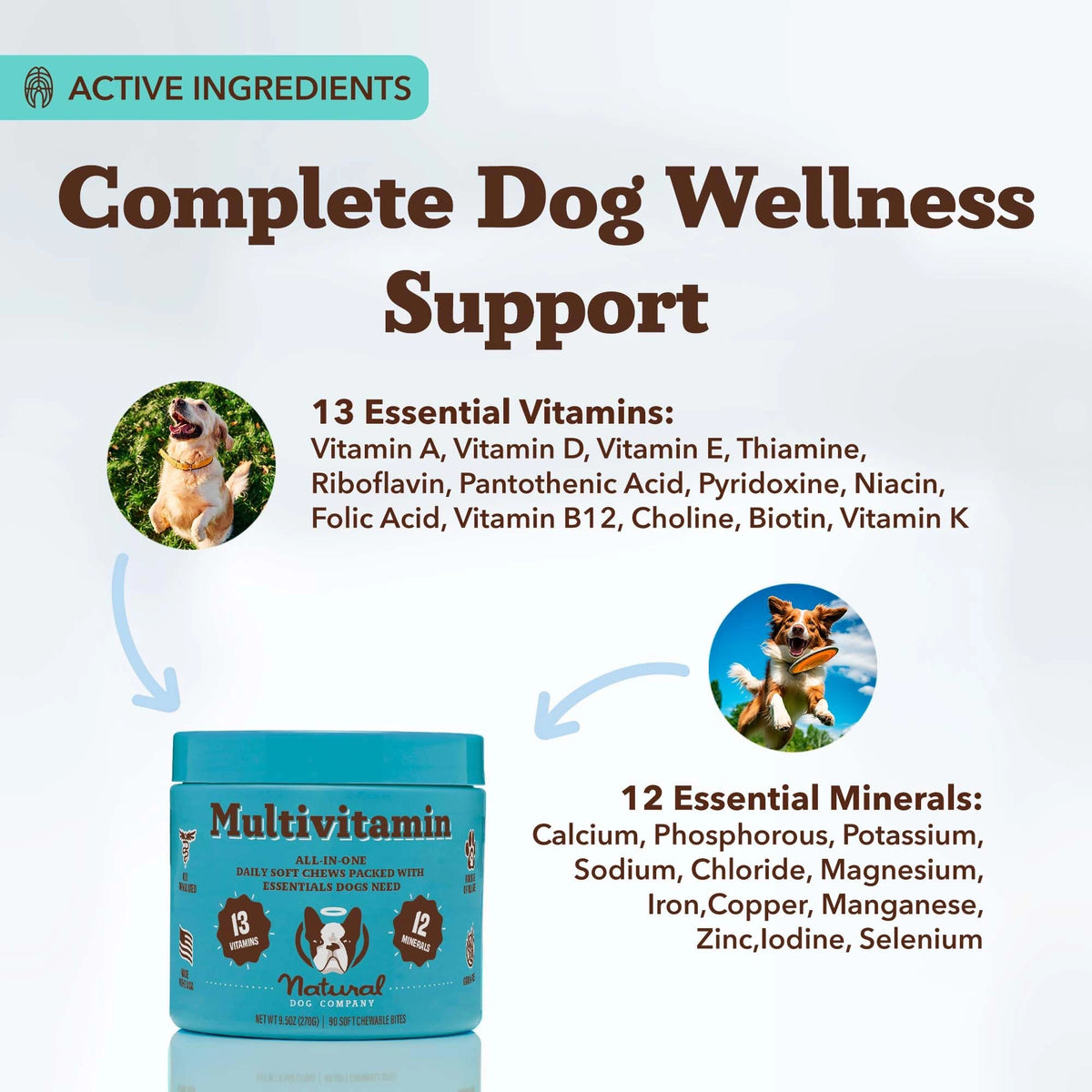 Multivitamin Supplement by Natural Dog Company