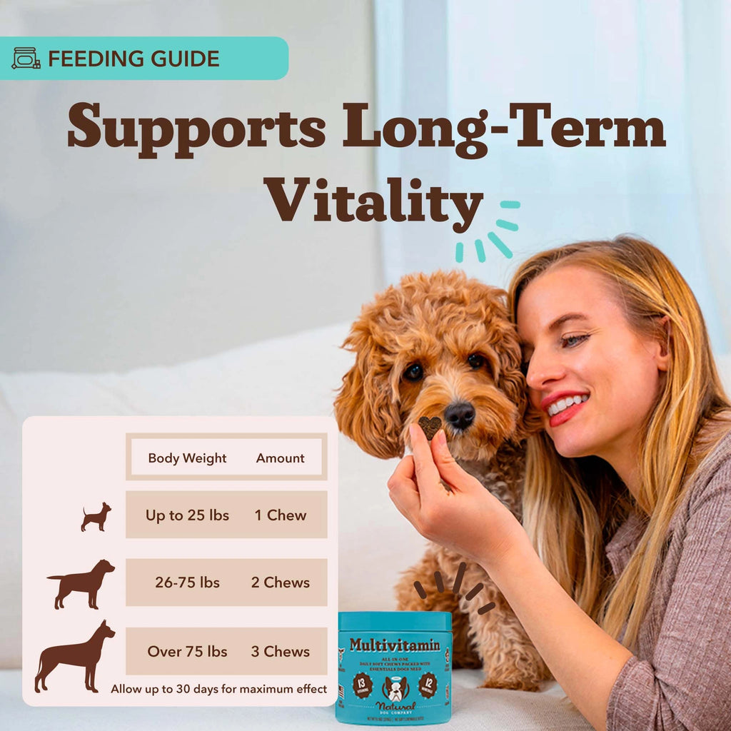 Multivitamin Supplement by Natural Dog Company