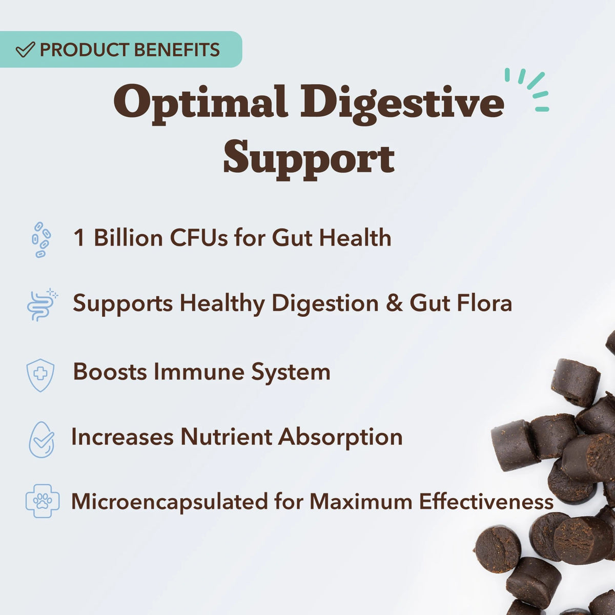 Probiotic Supplement by Natural Dog Company