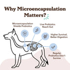 Probiotic Supplement by Natural Dog Company