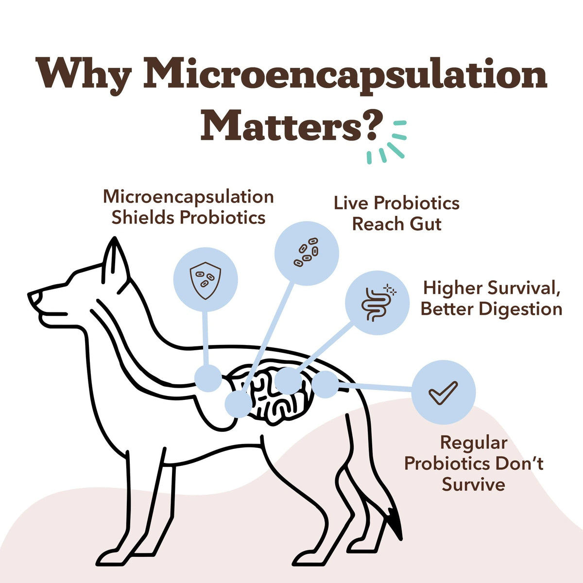 Probiotic Supplement by Natural Dog Company