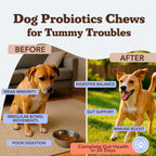 Probiotic Supplement by Natural Dog Company