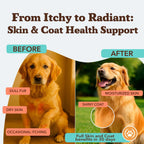 Skin & Coat Supplement by Natural Dog Company