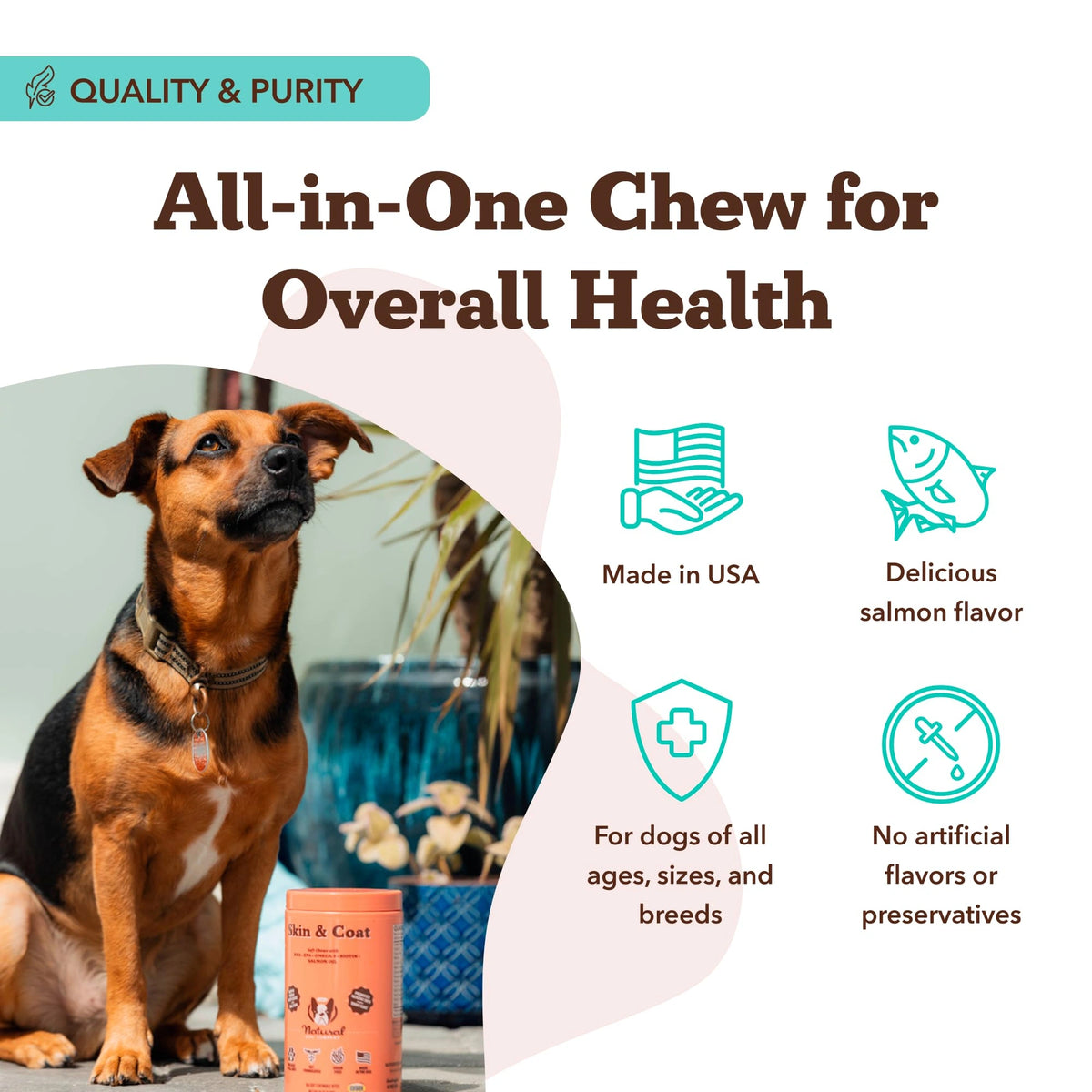 Skin & Coat Supplement by Natural Dog Company