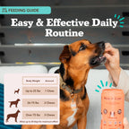 Skin & Coat Supplement by Natural Dog Company