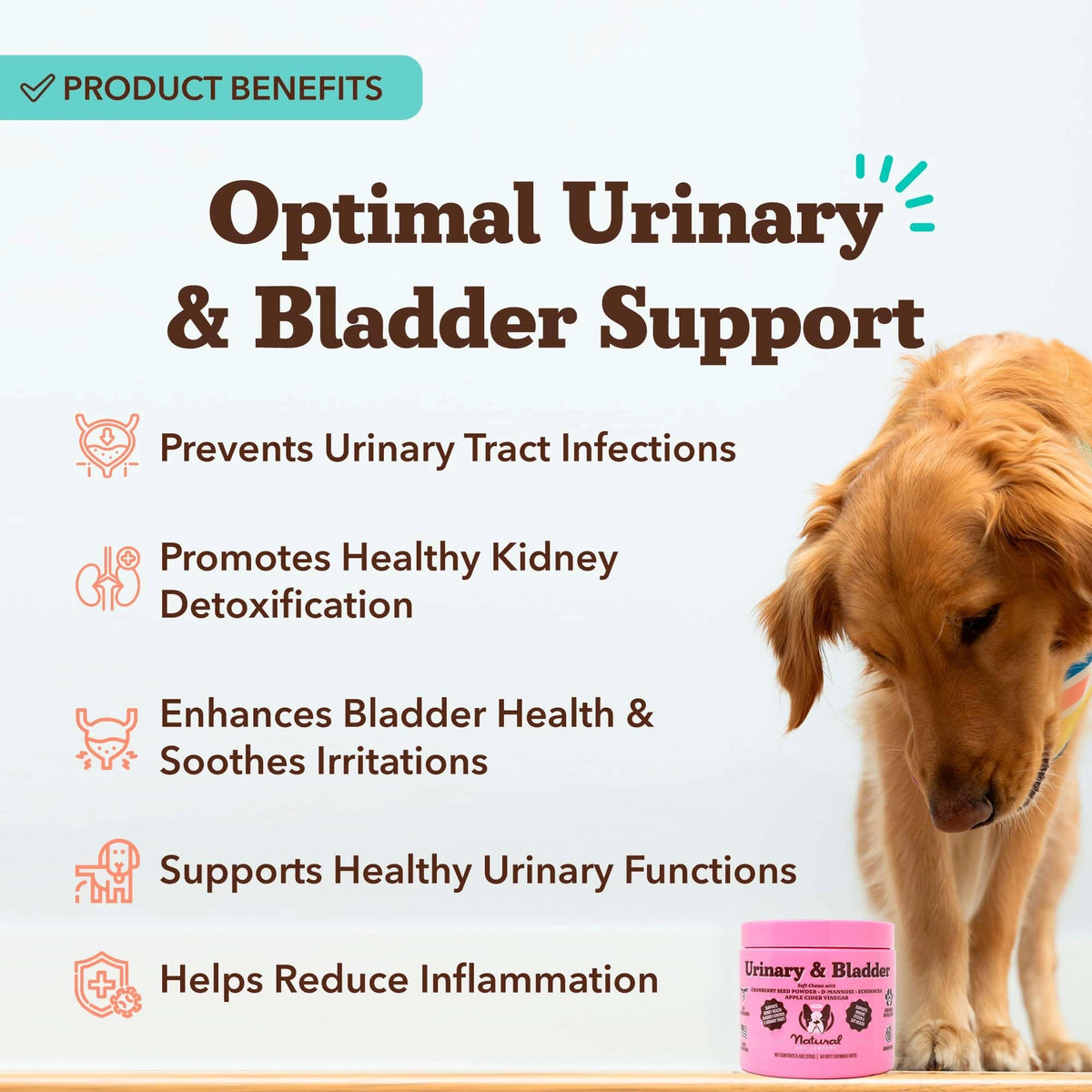 Urinary/Bladder Supplement by Natural Dog Company