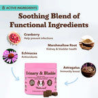 Urinary/Bladder Supplement by Natural Dog Company