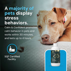 Veterinary Strength Calm & Confident Liquid for Dogs & Cats by VetriScience