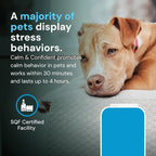 Veterinary Strength Calm & Confident for Dogs by VetriScience