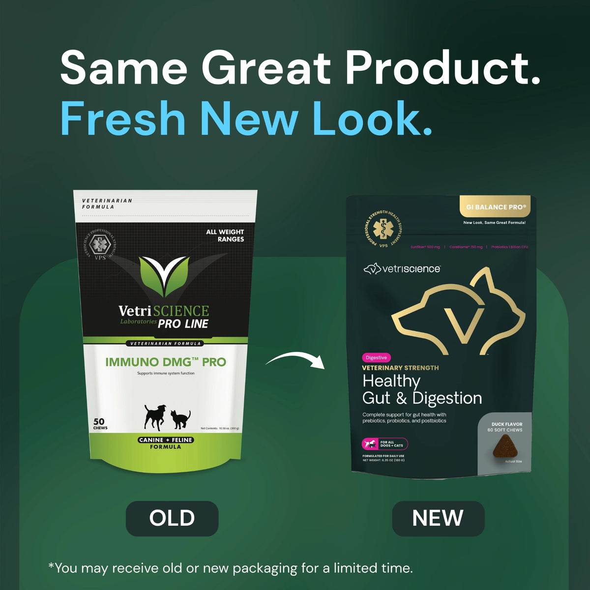 Veterinary Strength Healthy Gut & Digestion for Dogs & Cats by VetriScience