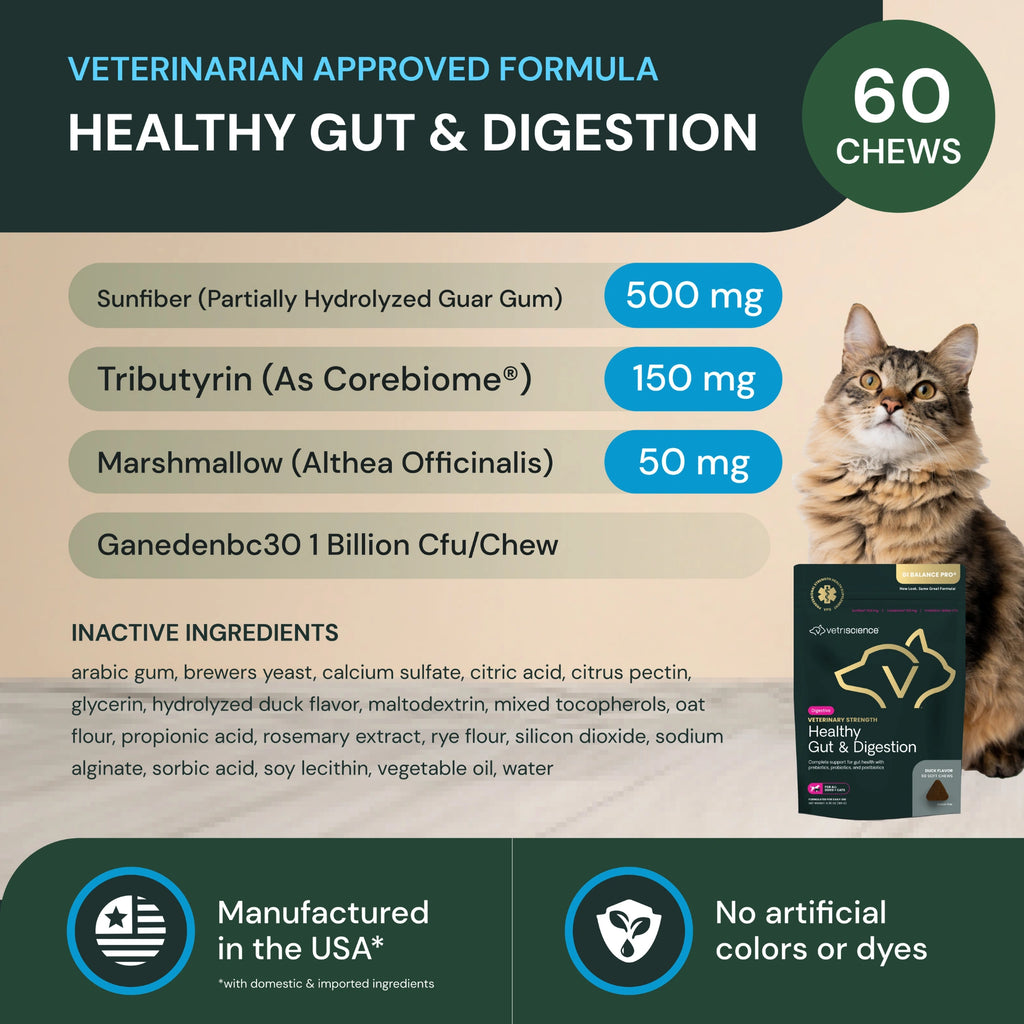 Veterinary Strength Healthy Gut & Digestion for Dogs & Cats by VetriScience