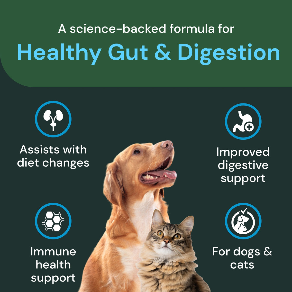 Veterinary Strength Healthy Gut & Digestion for Dogs & Cats by VetriScience
