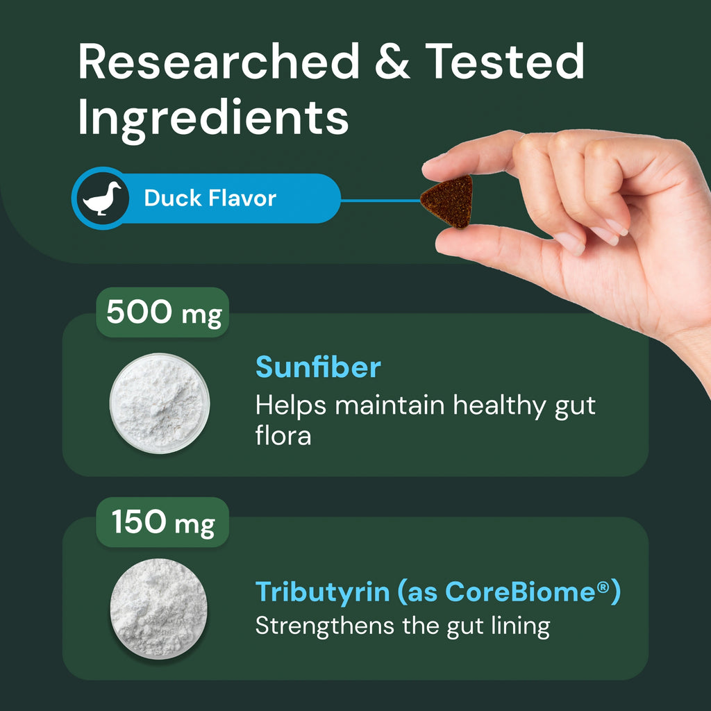Veterinary Strength Healthy Gut & Digestion for Dogs & Cats by VetriScience