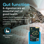 Veterinary Strength Healthy Gut & Digestion for Dogs & Cats by VetriScience