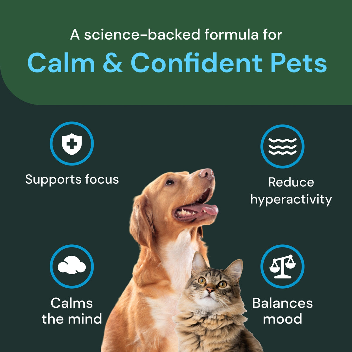 Veterinary Strength Calm & Confident for Cats by VetriScience
