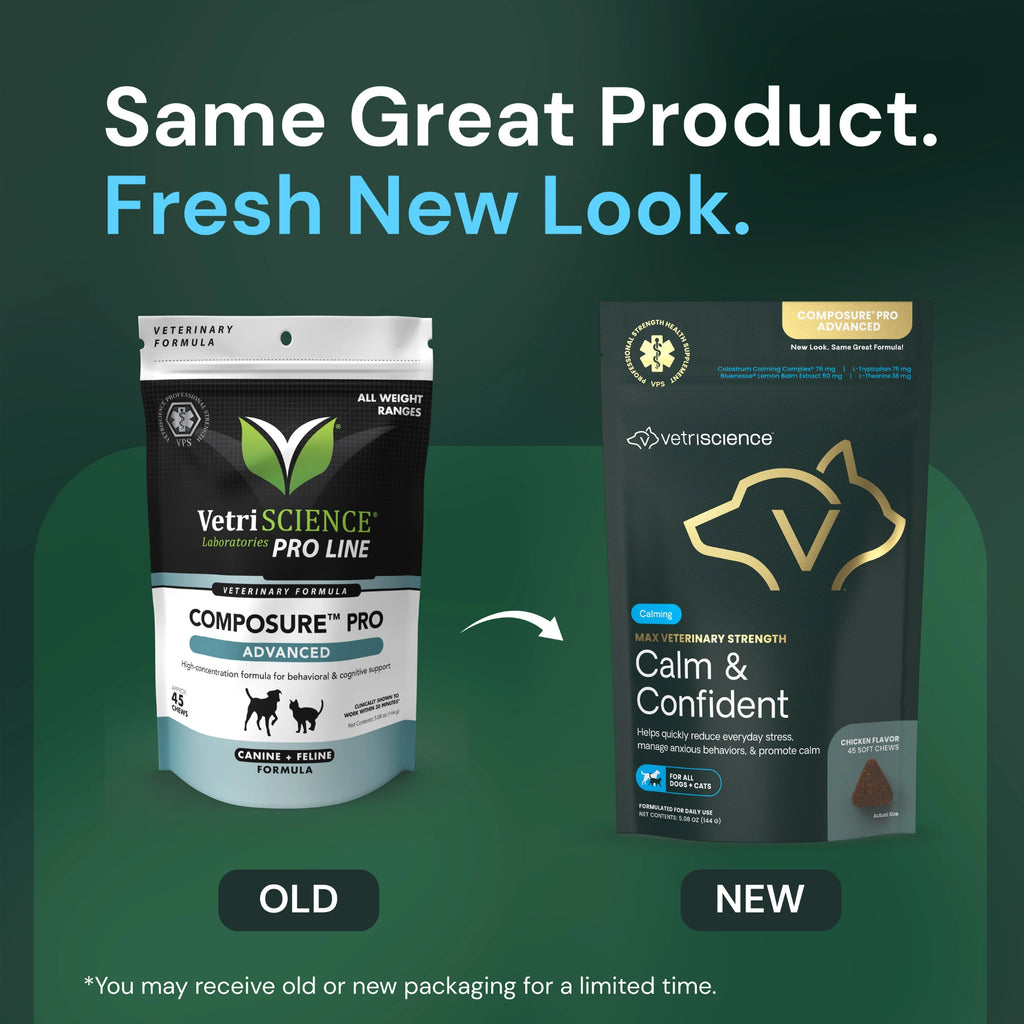 Max Veterinary Strength Calm & Confident for Dogs & Cats by VetriScience