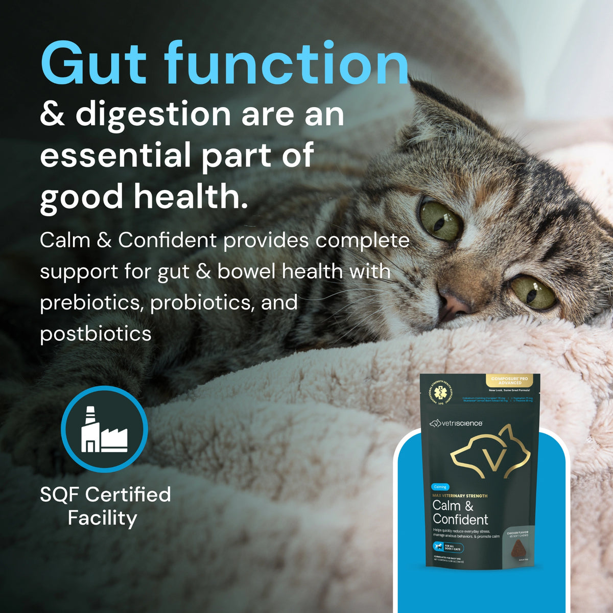 Max Veterinary Strength Calm & Confident for Dogs & Cats by VetriScience