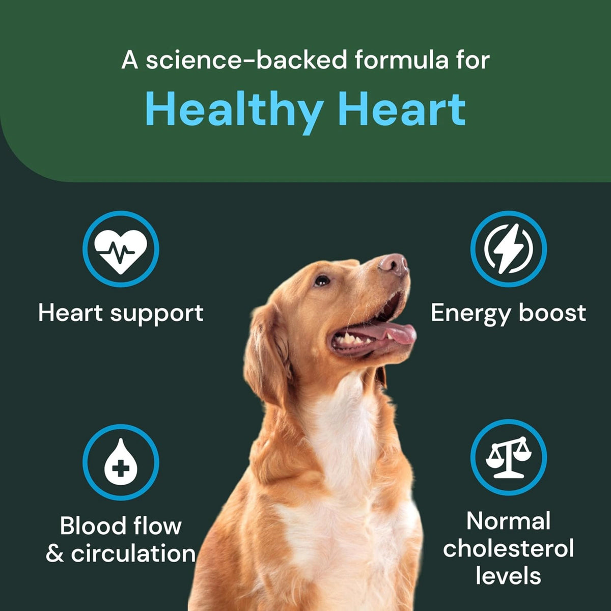 Veterinary Strength Healthy Heart for Dogs & Cats by VetriScience