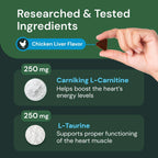 Veterinary Strength Healthy Heart for Dogs & Cats by VetriScience