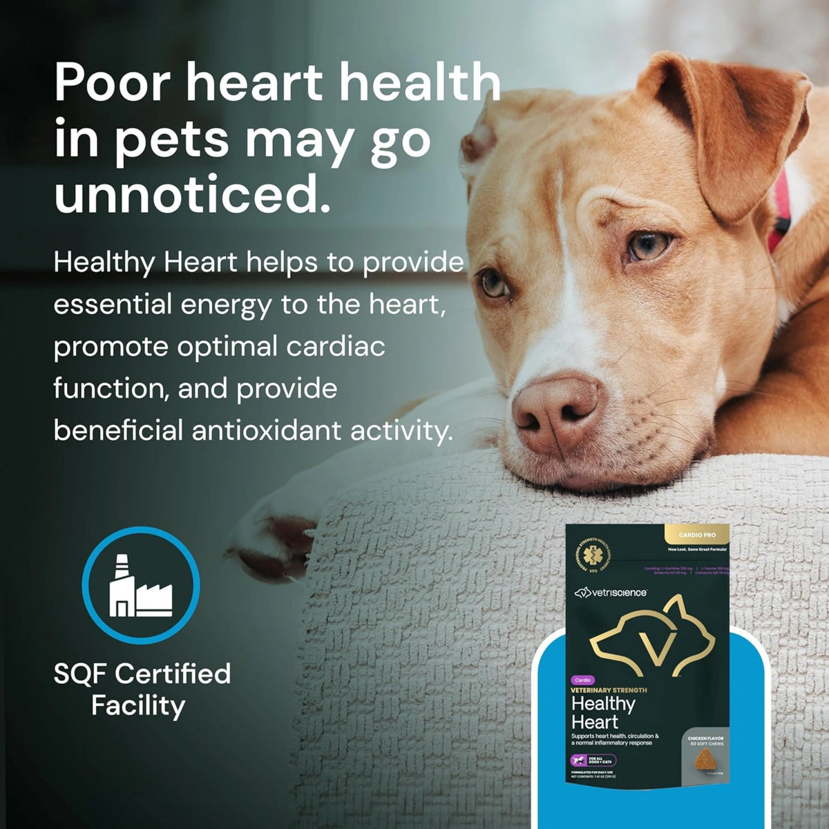 Veterinary Strength Healthy Heart for Dogs & Cats by VetriScience