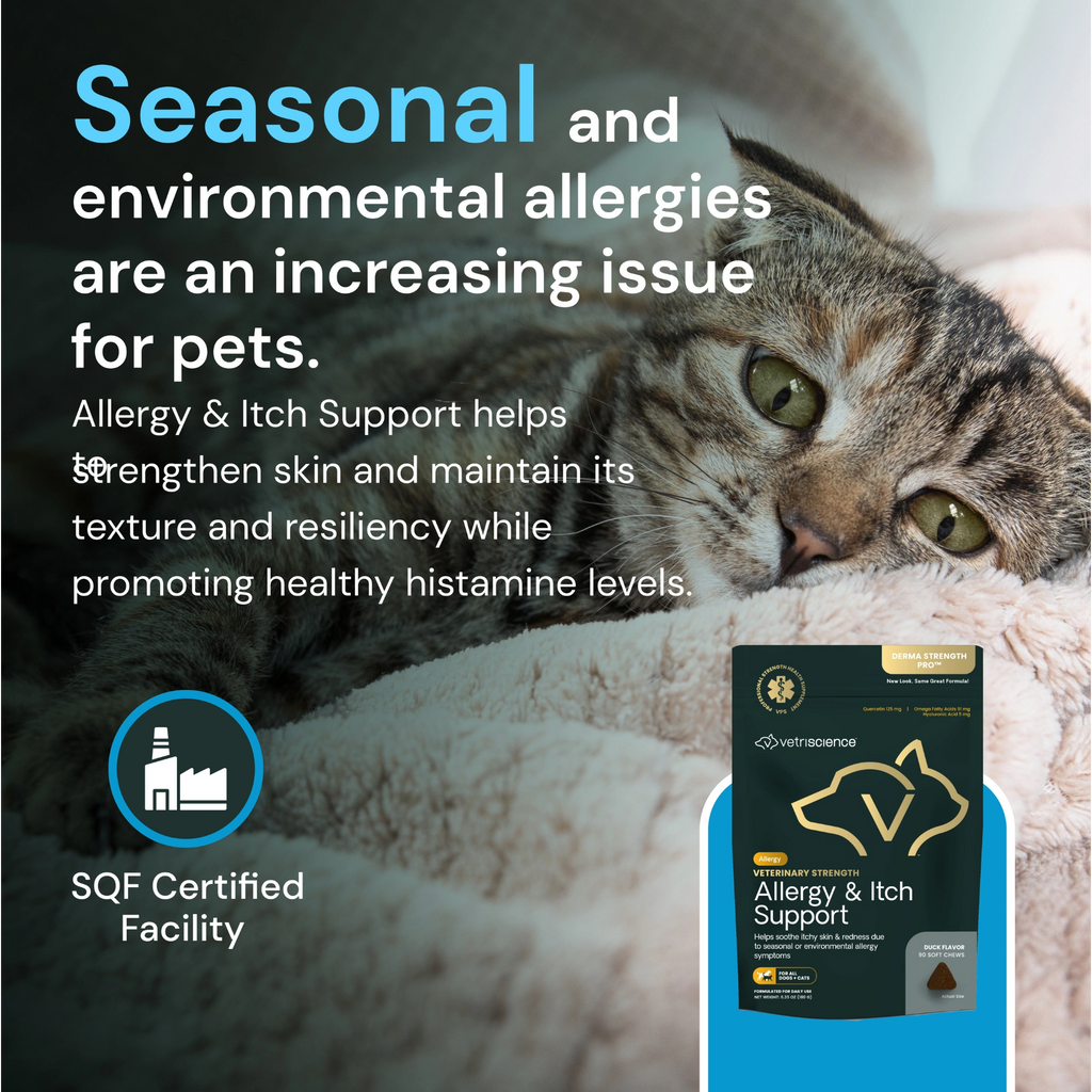 Veterinary Strength Allergy & Itch Support for Dogs & Cats by VetriScience
