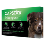 Capstar™,"Green and black product box with dog portrait"