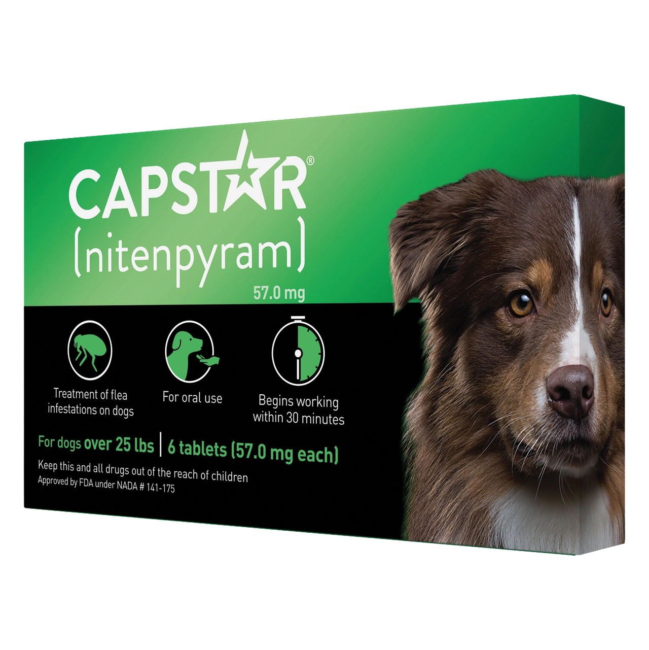 Capstar™,"Green and black product box with dog portrait"