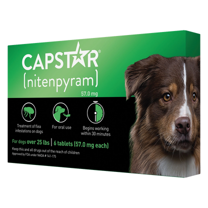Capstar™,"Green and black product box with dog portrait"