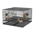 Midwest® Puppy Playpen,"Black wire playpen with divider panel and floor grid"