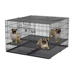 Midwest® Puppy Playpen,"Black wire playpen with divider panel and floor tray"