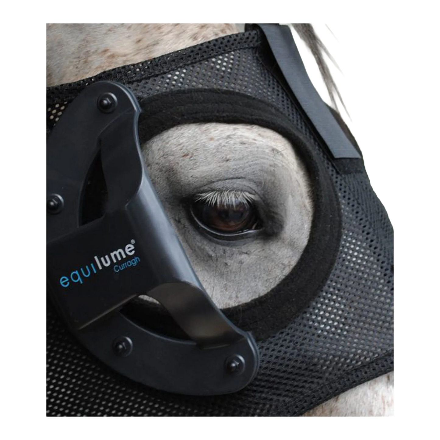 Equilume Replacement Cup,"Black cup attachment mounted on horse eye mask"