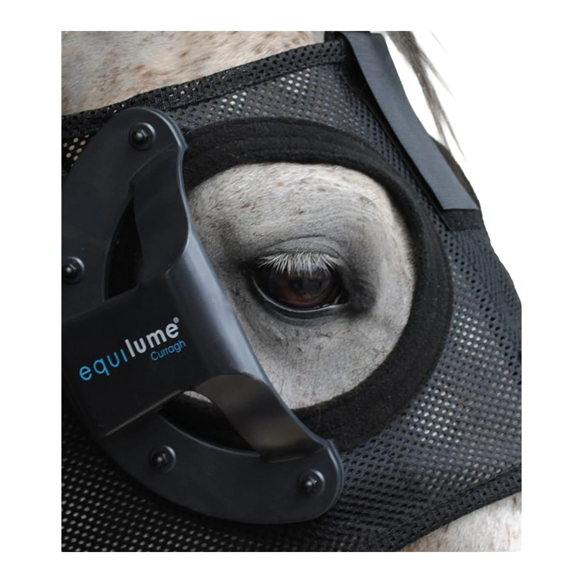 Equilume Replacement Cup,"Black cup attachment mounted on horse eye mask"